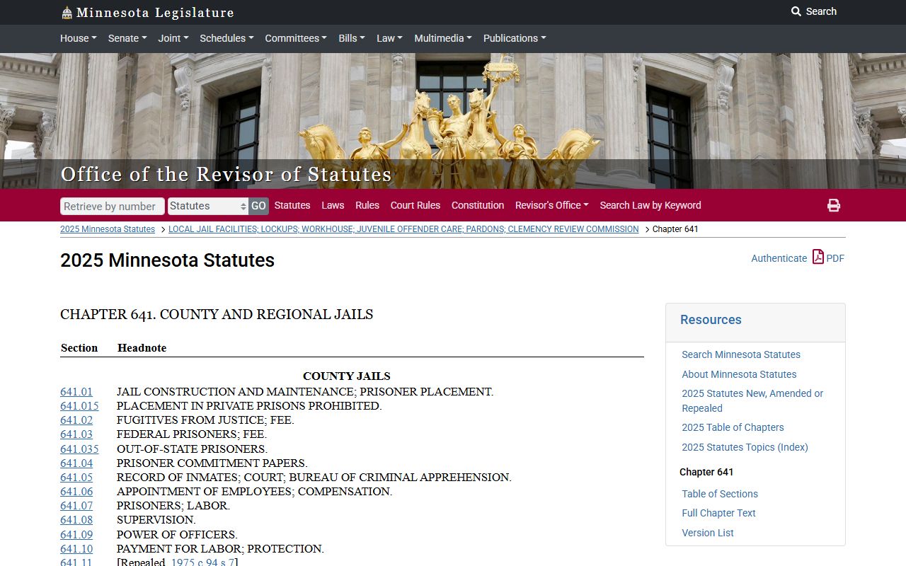 Minnesota Statutes Chapter 641 county jails inmate population records